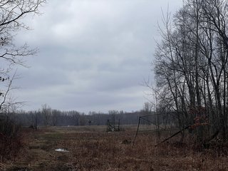 Property photo 16 - TILLABLE AND RECREATIONAL LAND AUCTION - 238.5+/- ACRES OFFERED IN 5 TRACTS IN SHIAWASSEE COUNTY, MICHIGAN