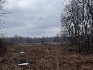 Property photo 17 - TILLABLE AND RECREATIONAL LAND AUCTION - 238.5+/- ACRES OFFERED IN 5 TRACTS IN SHIAWASSEE COUNTY, MICHIGAN