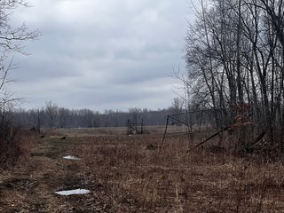 Property photo 9 - TILLABLE AND RECREATIONAL LAND AUCTION - 238.5+/- ACRES OFFERED IN 5 TRACTS IN SHIAWASSEE COUNTY, MICHIGAN