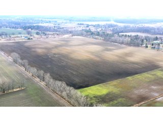 Property photo 6 - TILLABLE AND RECREATIONAL LAND AUCTION - 238.5+/- ACRES OFFERED IN 5 TRACTS IN SHIAWASSEE COUNTY, MICHIGAN