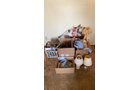 Property photo 27 - TIMED ONLINE ONLY PERSONAL PROPERTY AUCTION IN ALLEN COUNTY, INDIANA