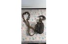 Property photo 88 - TIMED ONLINE ONLY PERSONAL PROPERTY AUCTION IN ALLEN COUNTY, INDIANA