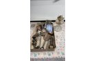 Property photo 132 - TIMED ONLINE ONLY PERSONAL PROPERTY AUCTION IN ALLEN COUNTY, INDIANA