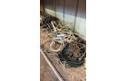 Property photo 314 - TIMED ONLINE ONLY PERSONAL PROPERTY AUCTION IN ALLEN COUNTY, INDIANA