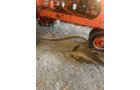 Property photo 354 - TIMED ONLINE ONLY PERSONAL PROPERTY AUCTION IN ALLEN COUNTY, INDIANA