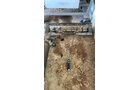 Property photo 457 - TIMED ONLINE ONLY PERSONAL PROPERTY AUCTION IN ALLEN COUNTY, INDIANA