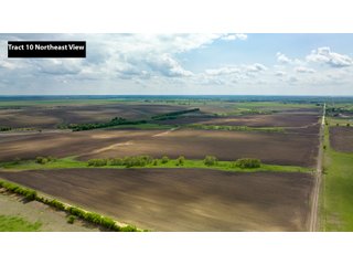Property photo 9 - LAND AUCTION 727+/- ACRES OFFERED IN 12 TRACTS IN HILL COUNTY, TEXAS