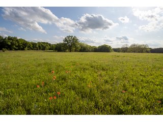 Property photo 15 - LAND AUCTION 727+/- ACRES OFFERED IN 12 TRACTS IN HILL COUNTY, TEXAS
