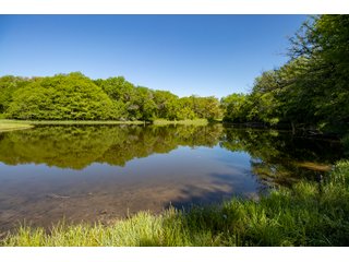 Property photo 30 - LAND AUCTION 727+/- ACRES OFFERED IN 12 TRACTS IN HILL COUNTY, TEXAS