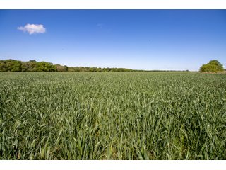 Property photo 33 - LAND AUCTION 727+/- ACRES OFFERED IN 12 TRACTS IN HILL COUNTY, TEXAS
