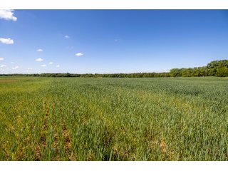 Property photo 34 - LAND AUCTION 727+/- ACRES OFFERED IN 12 TRACTS IN HILL COUNTY, TEXAS