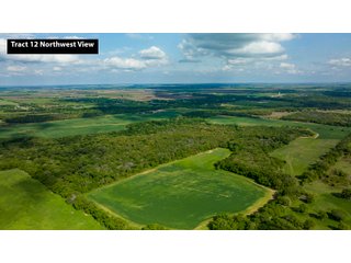 Property photo 12 - LAND AUCTION 727+/- ACRES OFFERED IN 12 TRACTS IN HILL COUNTY, TEXAS