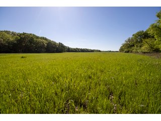 Property photo 37 - LAND AUCTION 727+/- ACRES OFFERED IN 12 TRACTS IN HILL COUNTY, TEXAS