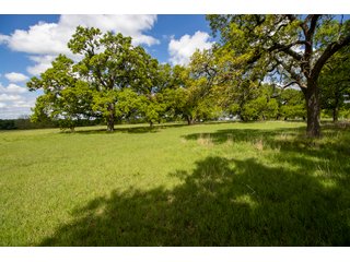 Property photo 18 - LAND AUCTION 727+/- ACRES OFFERED IN 12 TRACTS IN HILL COUNTY, TEXAS