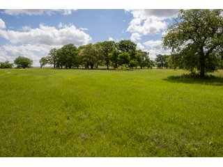 Property photo 19 - LAND AUCTION 727+/- ACRES OFFERED IN 12 TRACTS IN HILL COUNTY, TEXAS