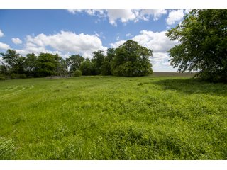 Property photo 21 - LAND AUCTION 727+/- ACRES OFFERED IN 12 TRACTS IN HILL COUNTY, TEXAS