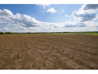 Property photo 25 - LAND AUCTION 727+/- ACRES OFFERED IN 12 TRACTS IN HILL COUNTY, TEXAS