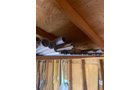 Property photo 303 - TIMED ONLINE ONLY PERSONAL PROPERTY AUCTION IN ALLEN COUNTY, INDIANA