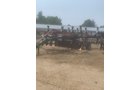 Property photo 35 - AUGUST CONSIGNMENT VIRTUAL FARM EQUIPMENT AUCTION