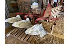 Property photo 39 - TIMED ONLINE ONLY PERSONAL PROPERTY AUCTION IN NOBLE COUNTY, INDIANA