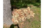 Property photo 8 - TIMED ONLINE ONLY PERSONAL PROPERTY AUCTION IN NOBLE COUNTY, INDIANA