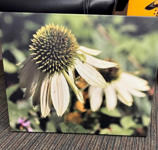 Property photo 2 - COLUMBIA CITY ROTARY CLUB 2023 SILENT AUCTION - TIMED ONLINE ONLY