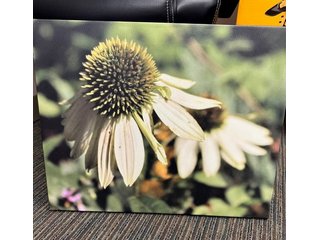 Property photo 2 - COLUMBIA CITY ROTARY CLUB 2023 SILENT AUCTION - TIMED ONLINE ONLY