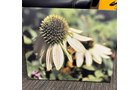 Property photo 2 - COLUMBIA CITY ROTARY CLUB 2023 SILENT AUCTION - TIMED ONLINE ONLY
