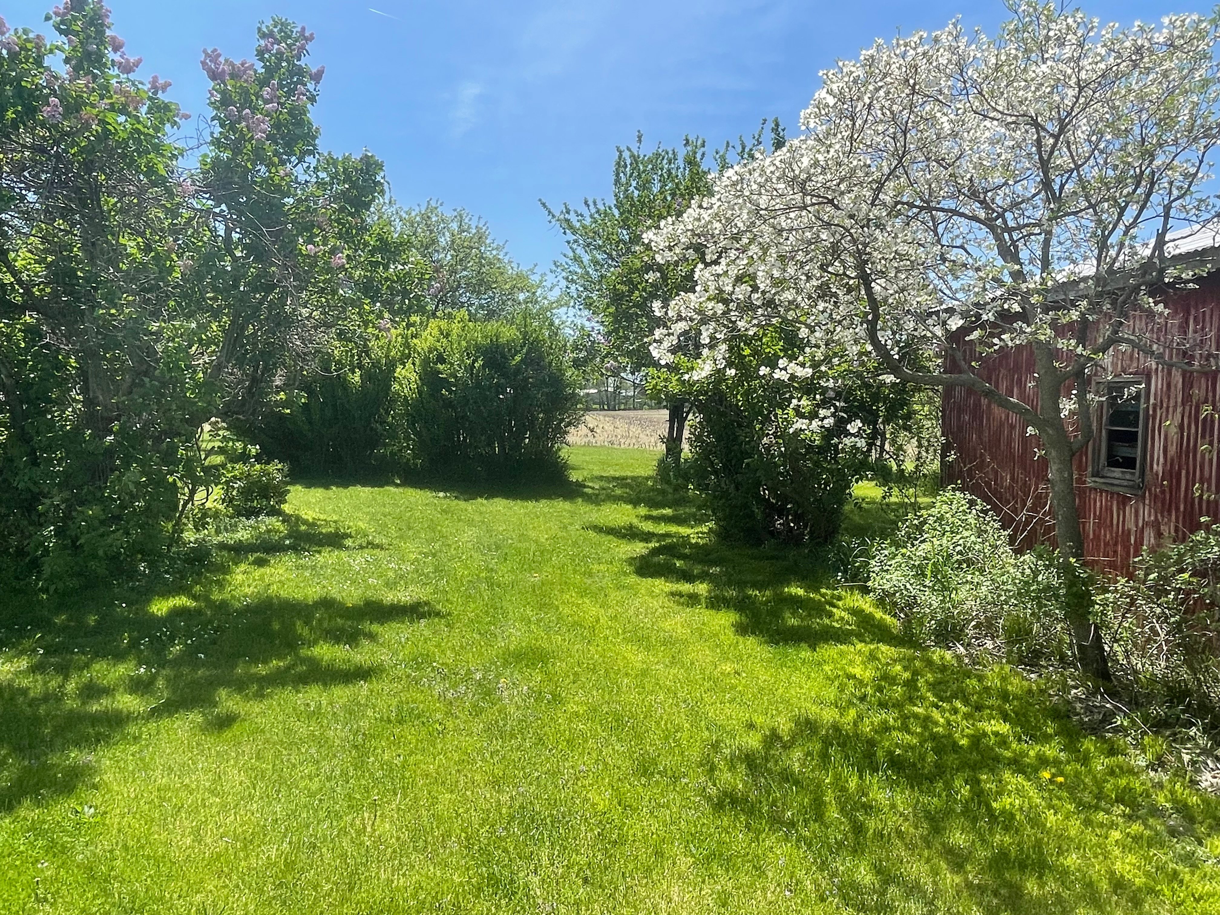 Property photo 6 - REAL ESTATE AUCTION - 36.22+/- ACRES OFFERED IN 3 TRACTS IN KOSCIUSKO COUNTY, INDIANA