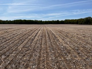 Property photo 26 - LAND AUCTION - 502+/- ACRES OFFERED IN 13 TRACTS IN HILLSDALE COUNTY, MICHIGAN