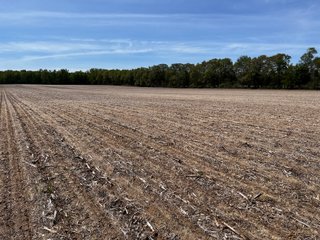 Property photo 27 - LAND AUCTION - 502+/- ACRES OFFERED IN 13 TRACTS IN HILLSDALE COUNTY, MICHIGAN