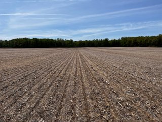 Property photo 28 - LAND AUCTION - 502+/- ACRES OFFERED IN 13 TRACTS IN HILLSDALE COUNTY, MICHIGAN