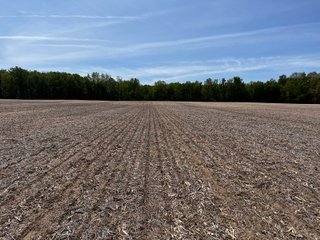 Property photo 29 - LAND AUCTION - 502+/- ACRES OFFERED IN 13 TRACTS IN HILLSDALE COUNTY, MICHIGAN