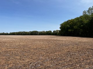 Property photo 30 - LAND AUCTION - 502+/- ACRES OFFERED IN 13 TRACTS IN HILLSDALE COUNTY, MICHIGAN