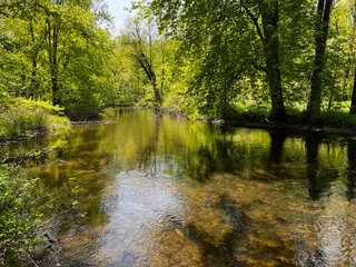 Property photo 33 - LAND AUCTION - 502+/- ACRES OFFERED IN 13 TRACTS IN HILLSDALE COUNTY, MICHIGAN