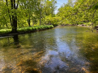 Property photo 34 - LAND AUCTION - 502+/- ACRES OFFERED IN 13 TRACTS IN HILLSDALE COUNTY, MICHIGAN