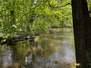 Property photo 39 - LAND AUCTION - 502+/- ACRES OFFERED IN 13 TRACTS IN HILLSDALE COUNTY, MICHIGAN