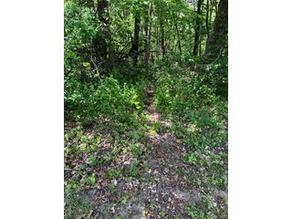 Property photo 40 - LAND AUCTION - 502+/- ACRES OFFERED IN 13 TRACTS IN HILLSDALE COUNTY, MICHIGAN