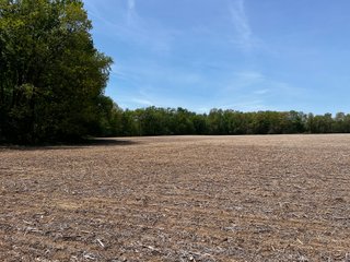 Property photo 31 - LAND AUCTION - 502+/- ACRES OFFERED IN 13 TRACTS IN HILLSDALE COUNTY, MICHIGAN
