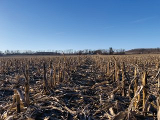 Property photo 23 - LAND AUCTION - 502+/- ACRES OFFERED IN 13 TRACTS IN HILLSDALE COUNTY, MICHIGAN