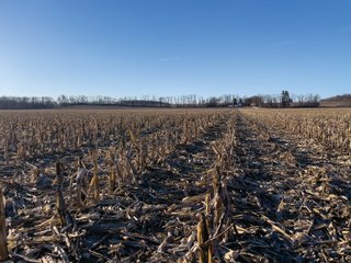 Property photo 24 - LAND AUCTION - 502+/- ACRES OFFERED IN 13 TRACTS IN HILLSDALE COUNTY, MICHIGAN