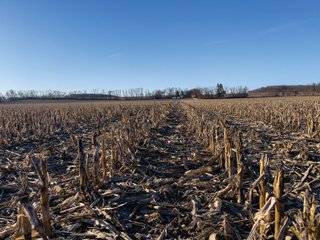 Property photo 25 - LAND AUCTION - 502+/- ACRES OFFERED IN 13 TRACTS IN HILLSDALE COUNTY, MICHIGAN
