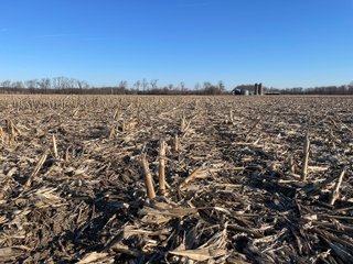 Property photo 19 - LAND AUCTION - 502+/- ACRES OFFERED IN 13 TRACTS IN HILLSDALE COUNTY, MICHIGAN