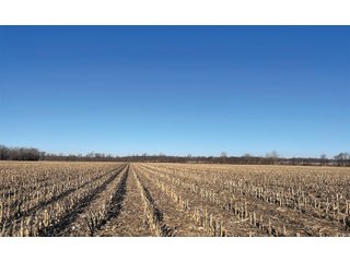 Property photo 20 - LAND AUCTION - 502+/- ACRES OFFERED IN 13 TRACTS IN HILLSDALE COUNTY, MICHIGAN