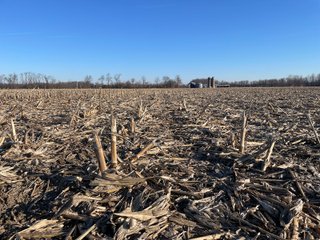 Property photo 21 - LAND AUCTION - 502+/- ACRES OFFERED IN 13 TRACTS IN HILLSDALE COUNTY, MICHIGAN