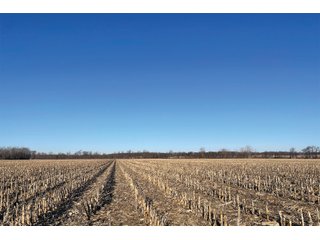 Property photo 22 - LAND AUCTION - 502+/- ACRES OFFERED IN 13 TRACTS IN HILLSDALE COUNTY, MICHIGAN