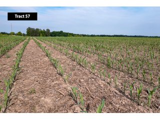 Property photo 63 - SESSION A - QUALITY TILLABLE LAND AUCTION - 5,113+/- ACRES OFFERED IN 75 TRACTS IN BARRON, DUNN, POLK, & CHIPPEWA COUNTIES, WI (PART OF A 7,428+/- ACRES IN 6 WISCONSIN COUNTIES)