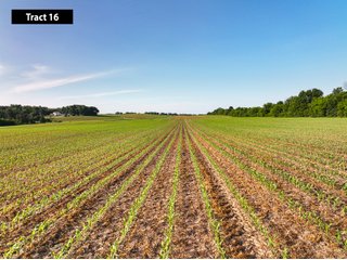 Property photo 16 - SESSION A - QUALITY TILLABLE LAND AUCTION - 5,113+/- ACRES OFFERED IN 75 TRACTS IN BARRON, DUNN, POLK, & CHIPPEWA COUNTIES, WI (PART OF A 7,428+/- ACRES IN 6 WISCONSIN COUNTIES)