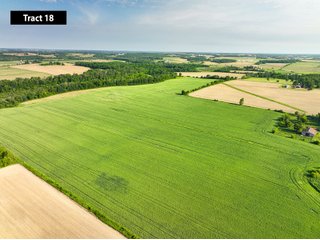 Property photo 18 - SESSION A - QUALITY TILLABLE LAND AUCTION - 5,113+/- ACRES OFFERED IN 75 TRACTS IN BARRON, DUNN, POLK, & CHIPPEWA COUNTIES, WI (PART OF A 7,428+/- ACRES IN 6 WISCONSIN COUNTIES)