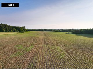 Property photo 4 - SESSION A - QUALITY TILLABLE LAND AUCTION - 5,113+/- ACRES OFFERED IN 75 TRACTS IN BARRON, DUNN, POLK, & CHIPPEWA COUNTIES, WI (PART OF A 7,428+/- ACRES IN 6 WISCONSIN COUNTIES)